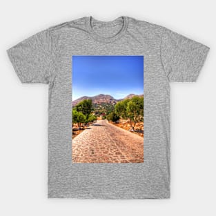 Tarpon Springs Boulevard T-Shirt